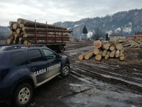 controale Garda Forestieră Suceava