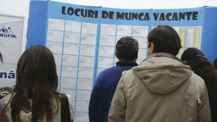rata somajului