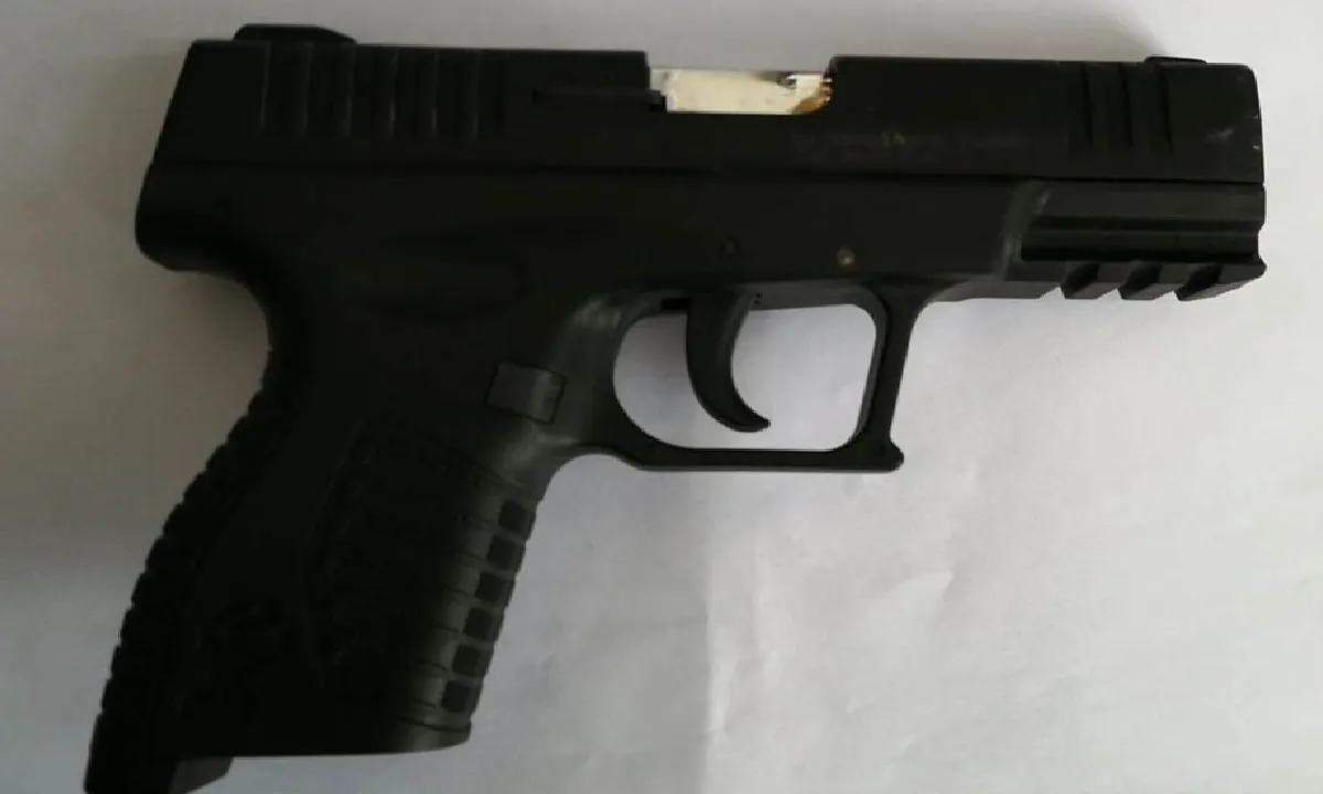 pistol