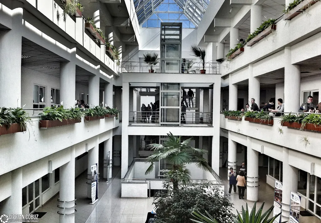 Universitatea Ștefan cel Mare