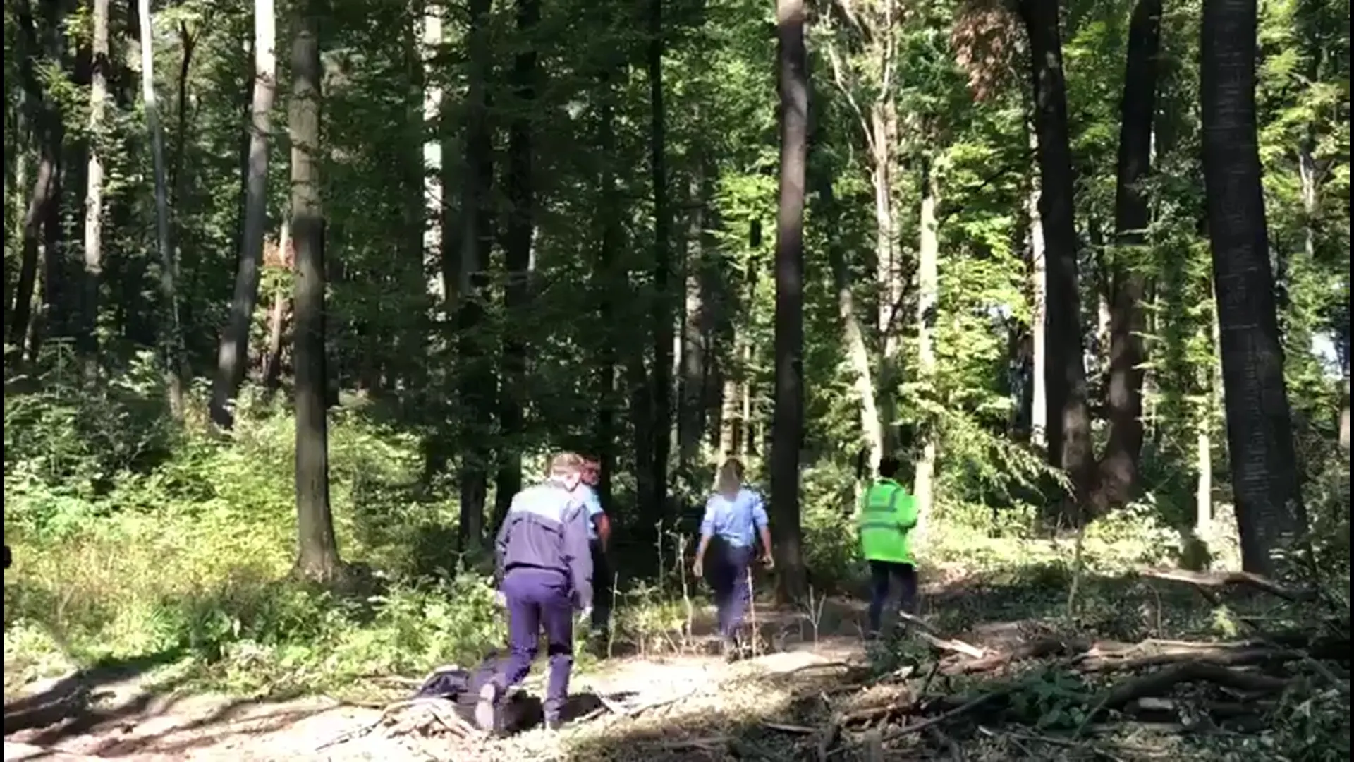 mort în pădure, foto arhivă