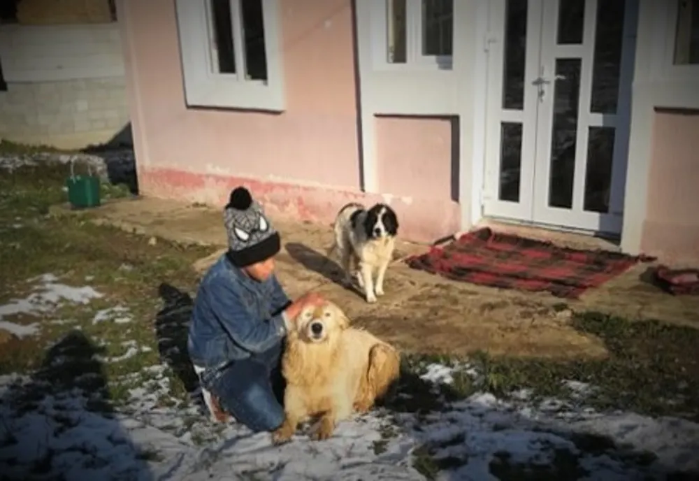 Câine salvat de pompieri dintr-o fântână adâncă de șapte metri FOTO