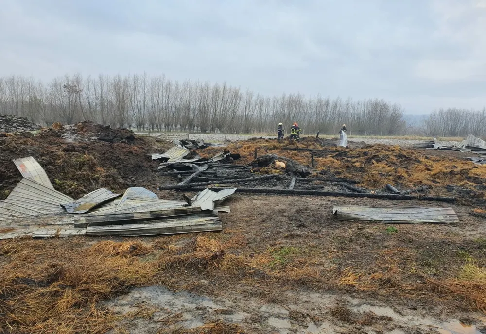 Adăpst de animale incendiat intenționat