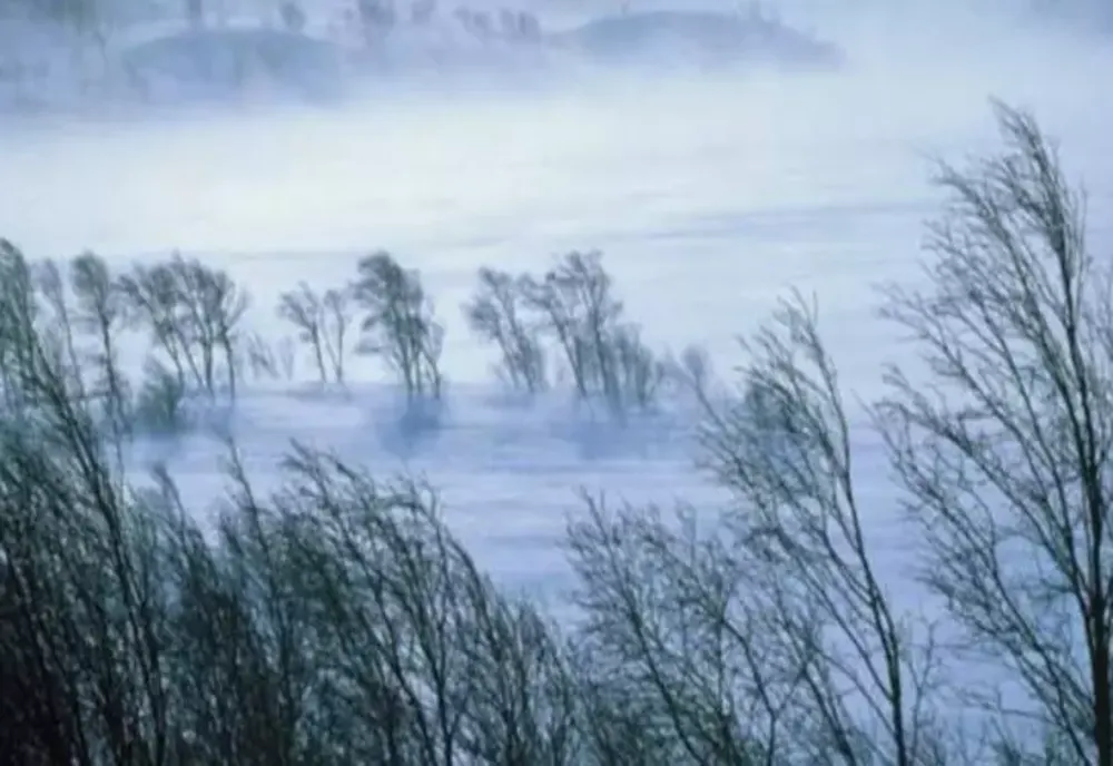 Avertizare meteo: Cod galben de vânt puternic, în două județe din Moldova