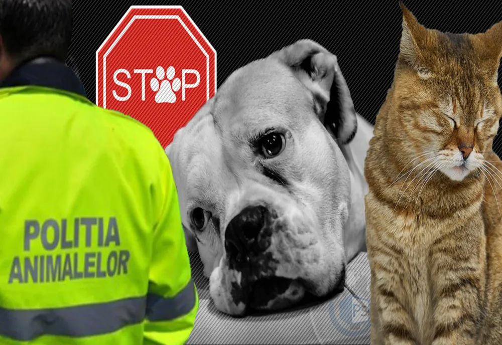 Pedepse mai dure şi amenzi mai mari pentru cei care schingiuiesc sau omoară  animale