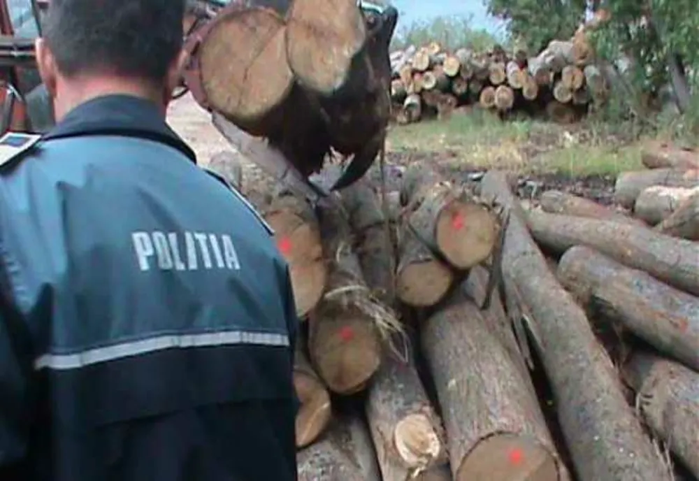 Material lemnos confiscat de polițiști după un control la o societate comercială de profil silvic