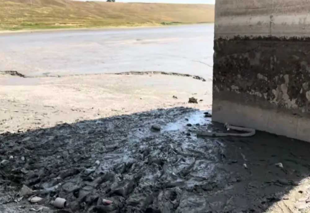 Dezastru ecologic în județul Suceava - Un iaz a secat din cauza caniculei. Localnicii sunt exasperați din cauza mirosului de pește putrezit