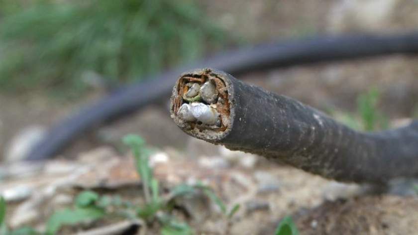 foto Realitatea Oltului