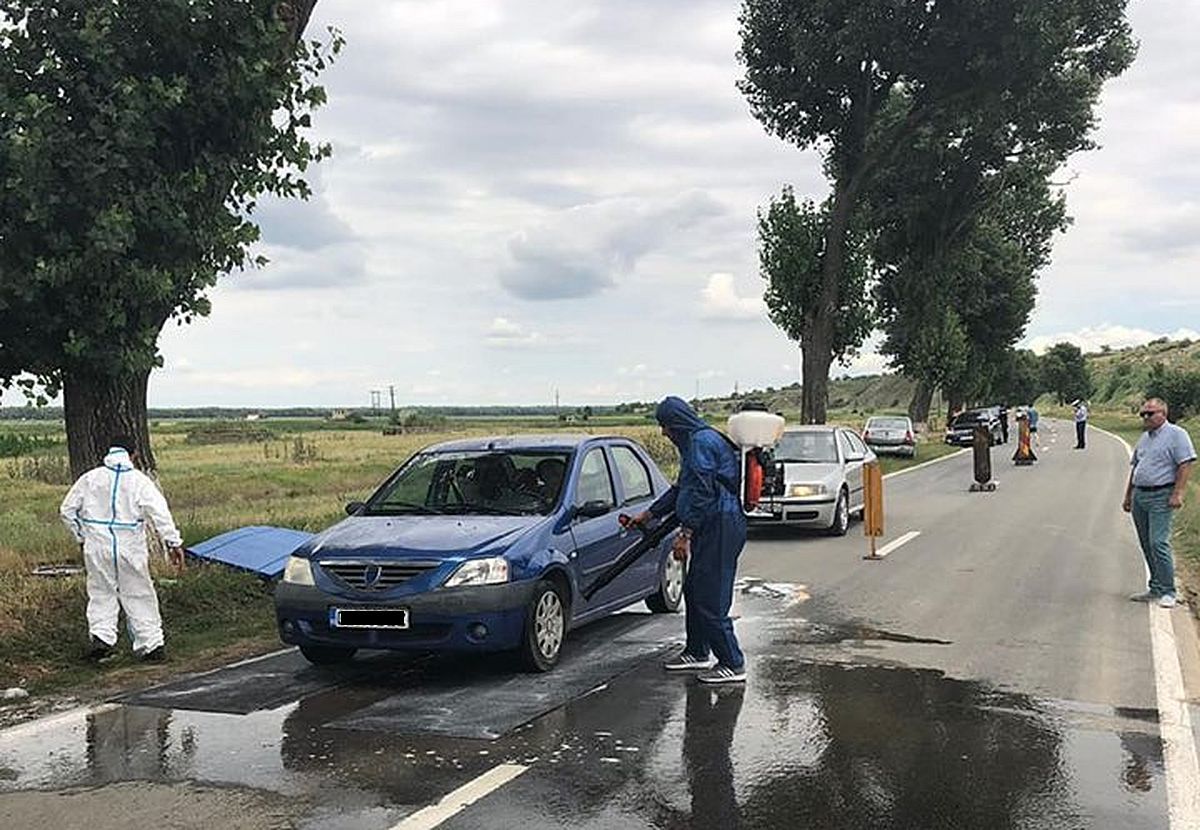 Autoritățile sucevene sunt în alertă din cauza pestei porcine. În Vama Siret au fost instituite dezinfectoare