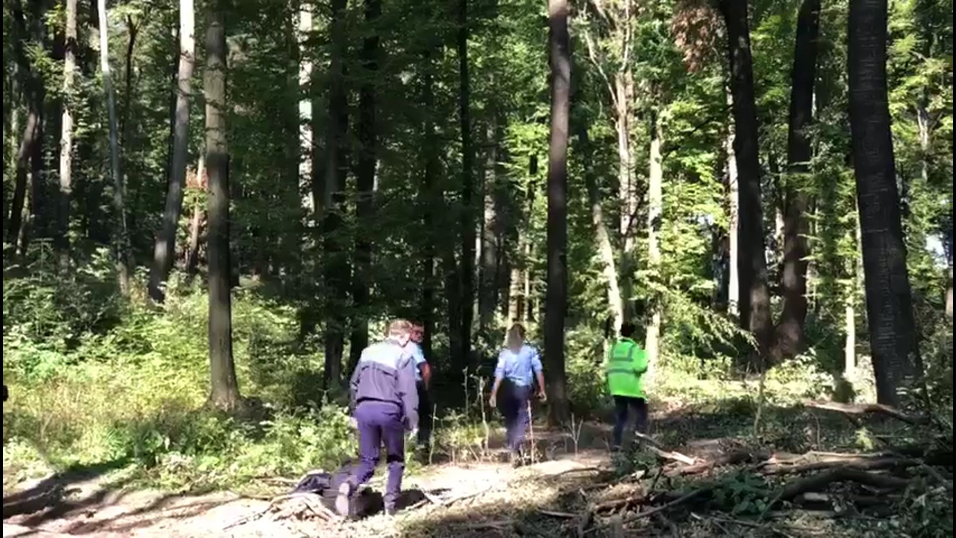 bărbat strivit copac Botoșani