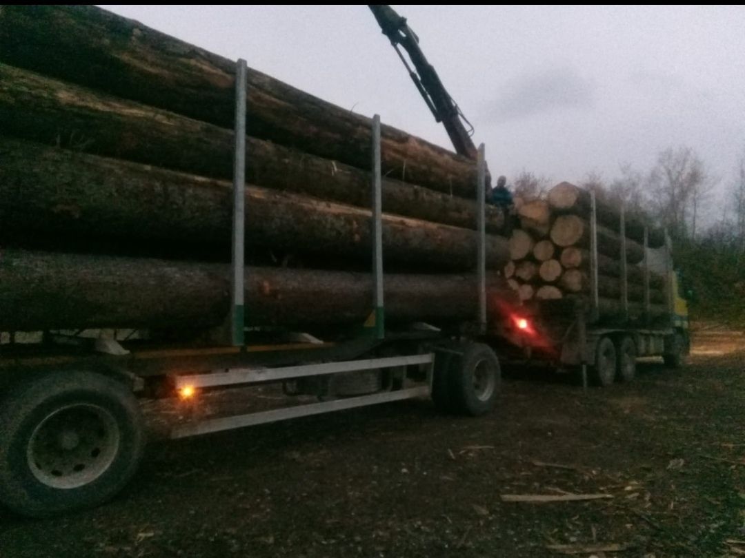 transport ilegal material lemnos