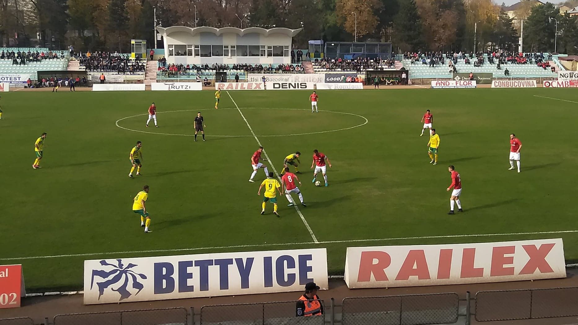 foresta-suceava-otelul-galati