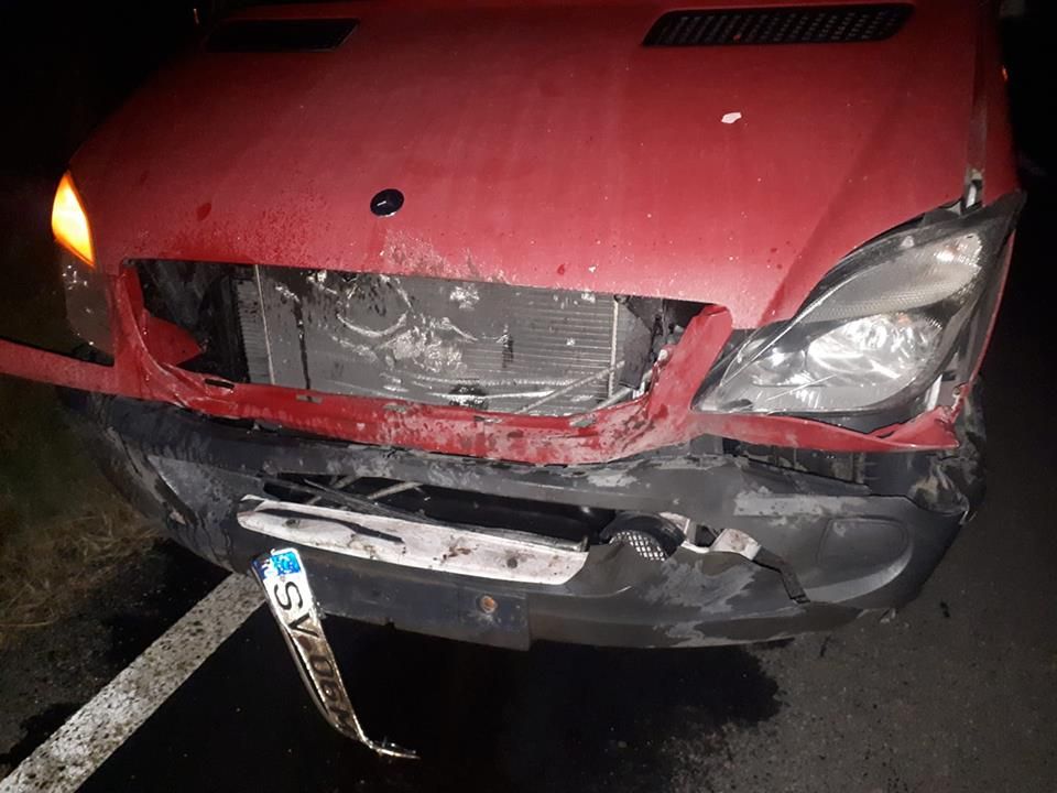 mașină avariată porc mistreț