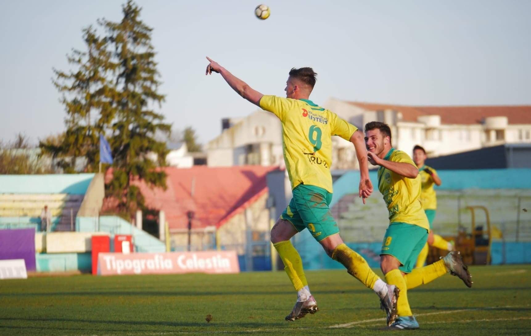 foresta-suceava-razvan-martin