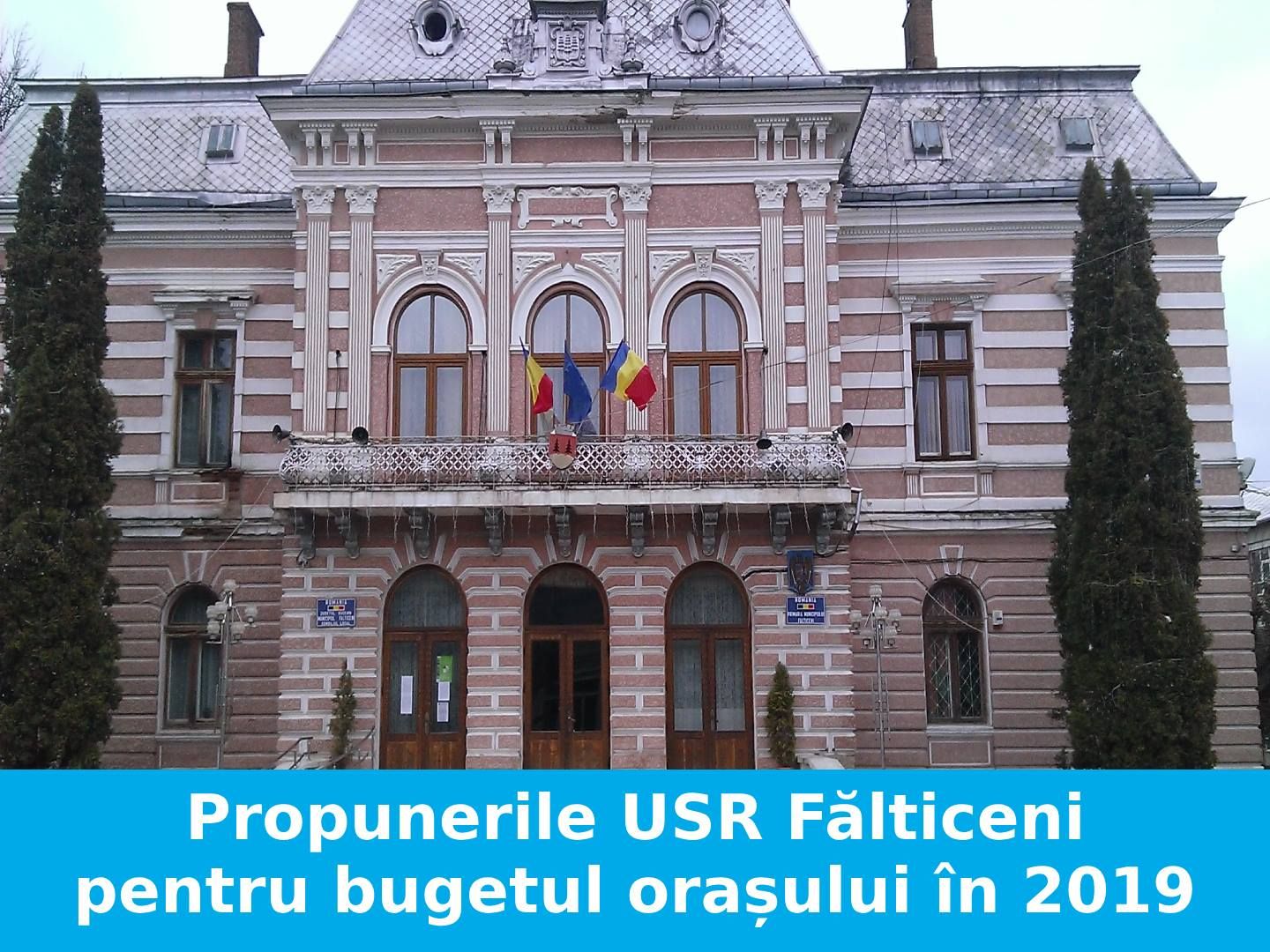 usr-falticeni-buget-2019
