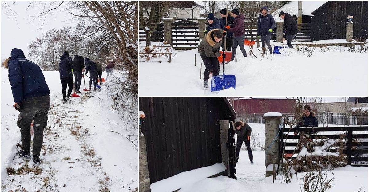 deszapezire-bilca-01