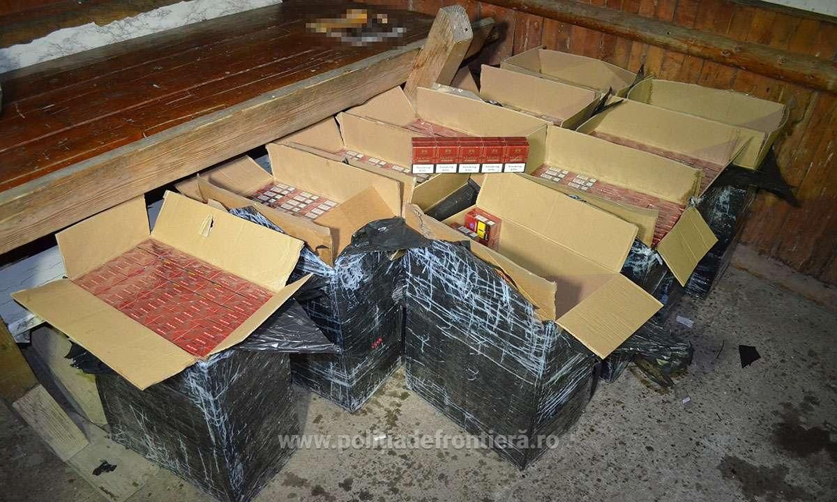 colete țigări Ulma