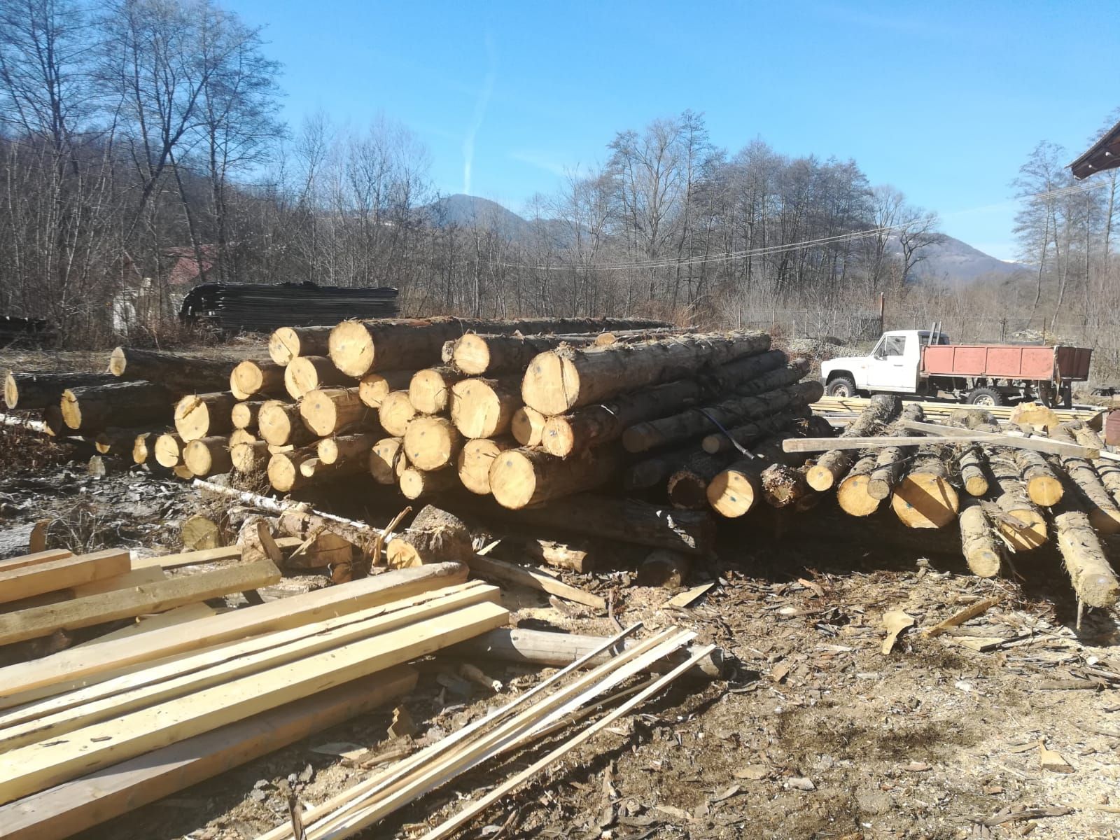 incendiu autoturism Boroaia