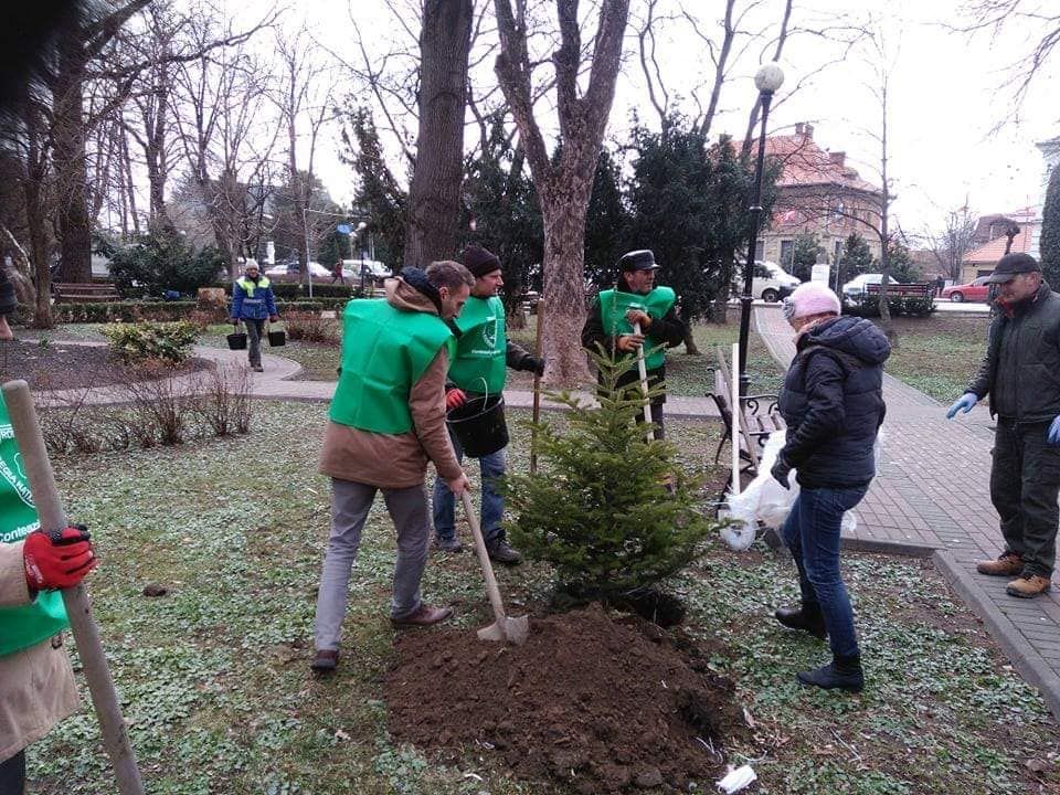 plantare-radauti-27martie2019-01