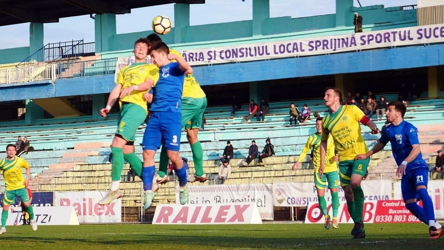 foresta-suceava-kse-targu-secuiesc