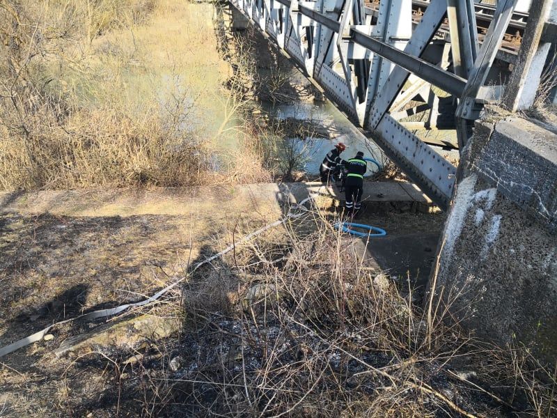 incendiu pădure Costâna