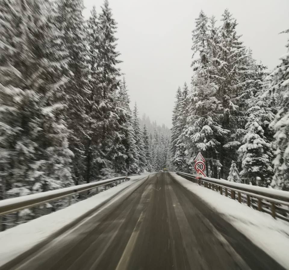 ninsori zona de munte a județului Suceava