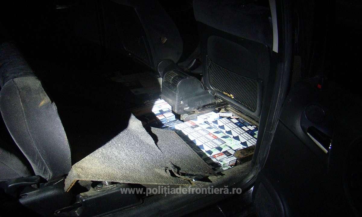 tigari-ascunse-podea-8mai2019-siret-01