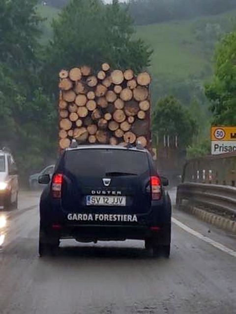 masina-garda-forestiera-suceava-camion-lemne-prisaca-dornei