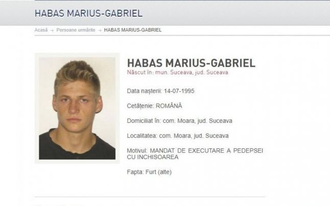 habas-marius-gabriel