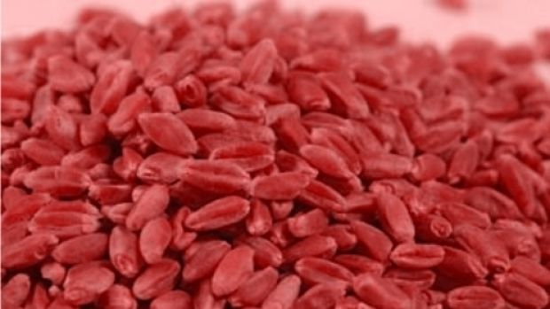 otravă șoareci, sursă foto Realitatea Oltului