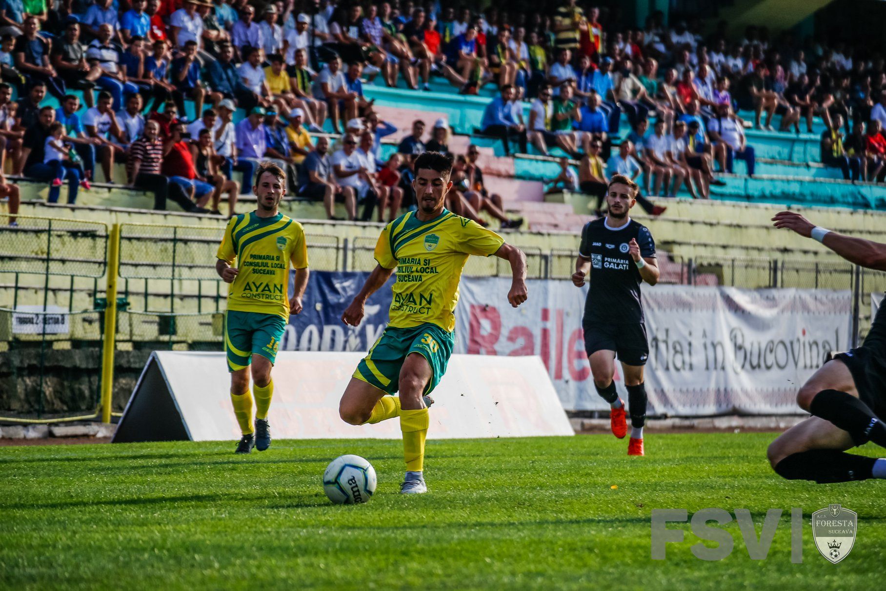 foresta-suceava-otelul-galati