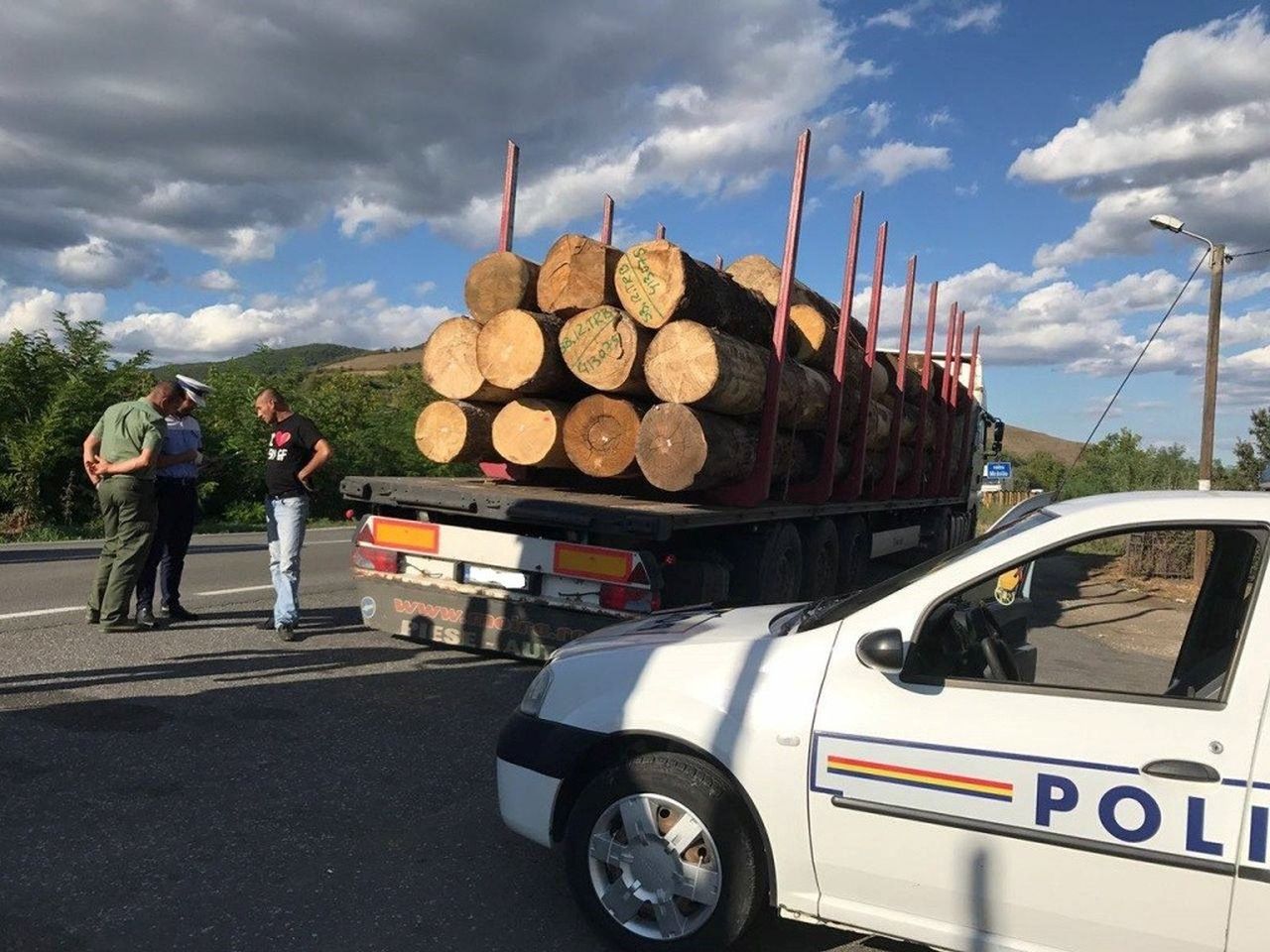 transport ilegal lemn, foto arhivă