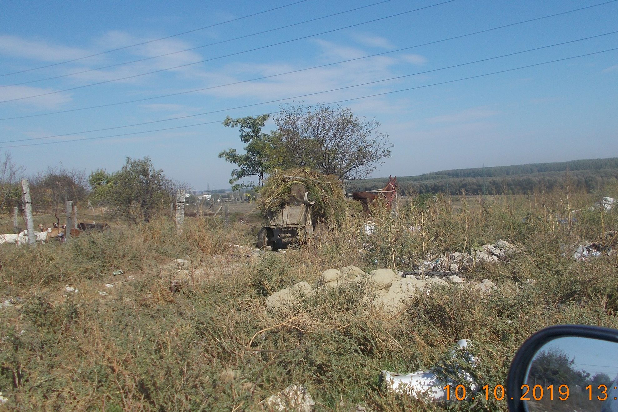 accident grav Prelipca