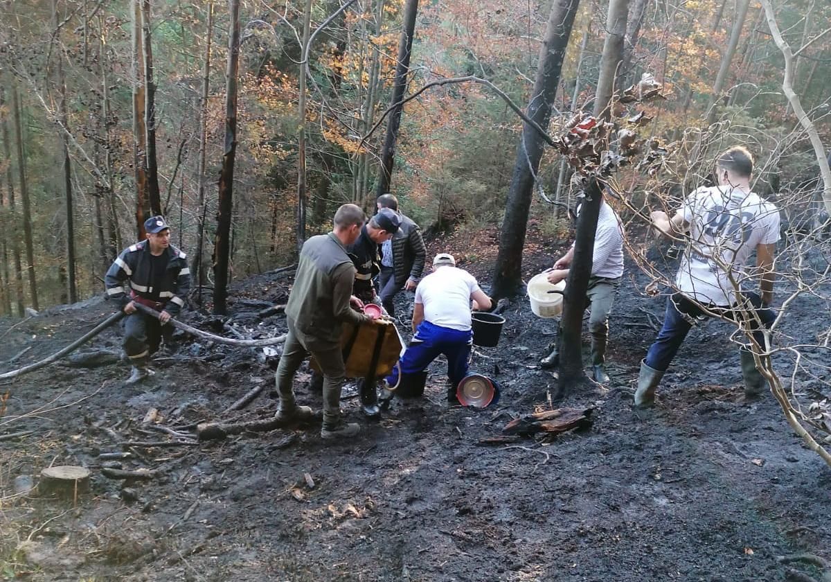 incendiu vegetație Poiana Micului