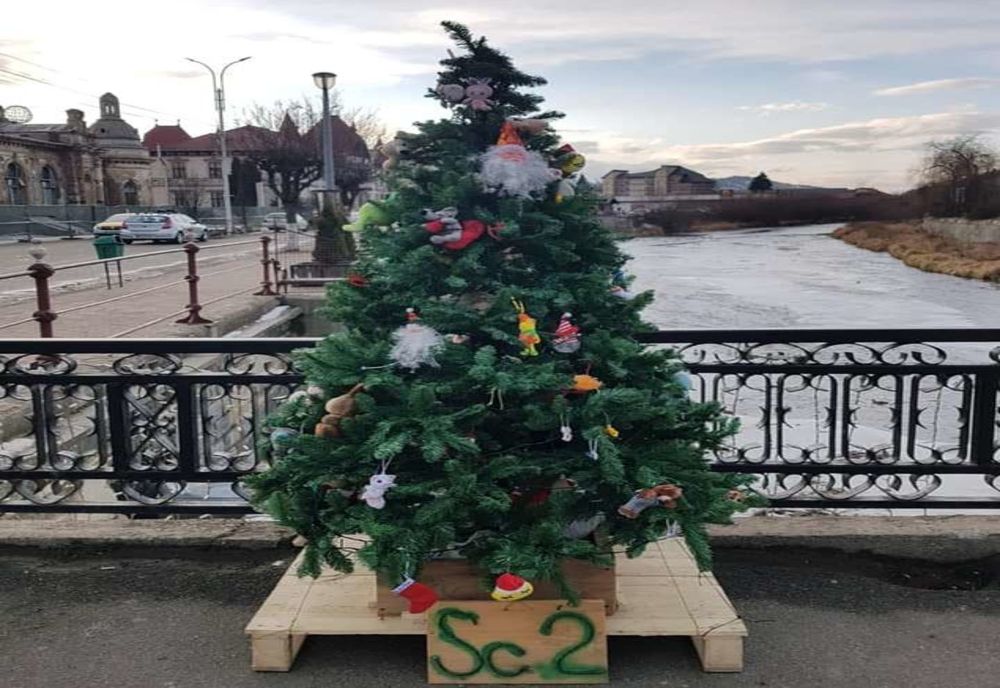 Grinch a ajuns și la Vatra Dornei. Un brad împodobit de elevii unei școli a fost lăsat fără jucării FOTO