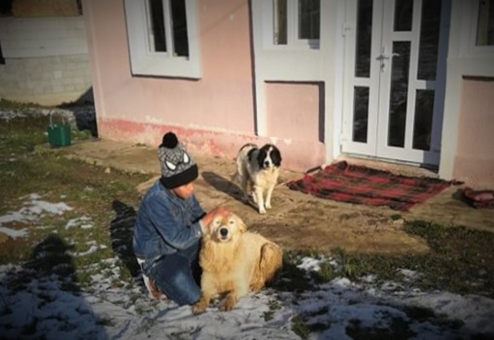 Câine salvat de pompieri dintr-o fântână adâncă de șapte metri FOTO 