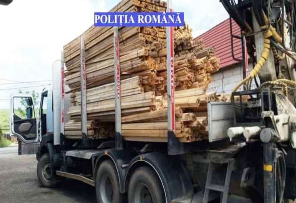 Material lemnos în valoare de aproape 37.000 lei confiscat de polițiști la Vadu Moldovei