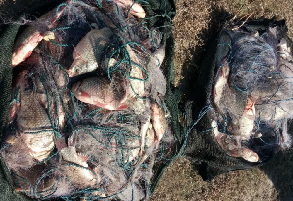 Acțiune a polițiștilor sireteni pentru prevenirea și combaterea braconajului piscicol 