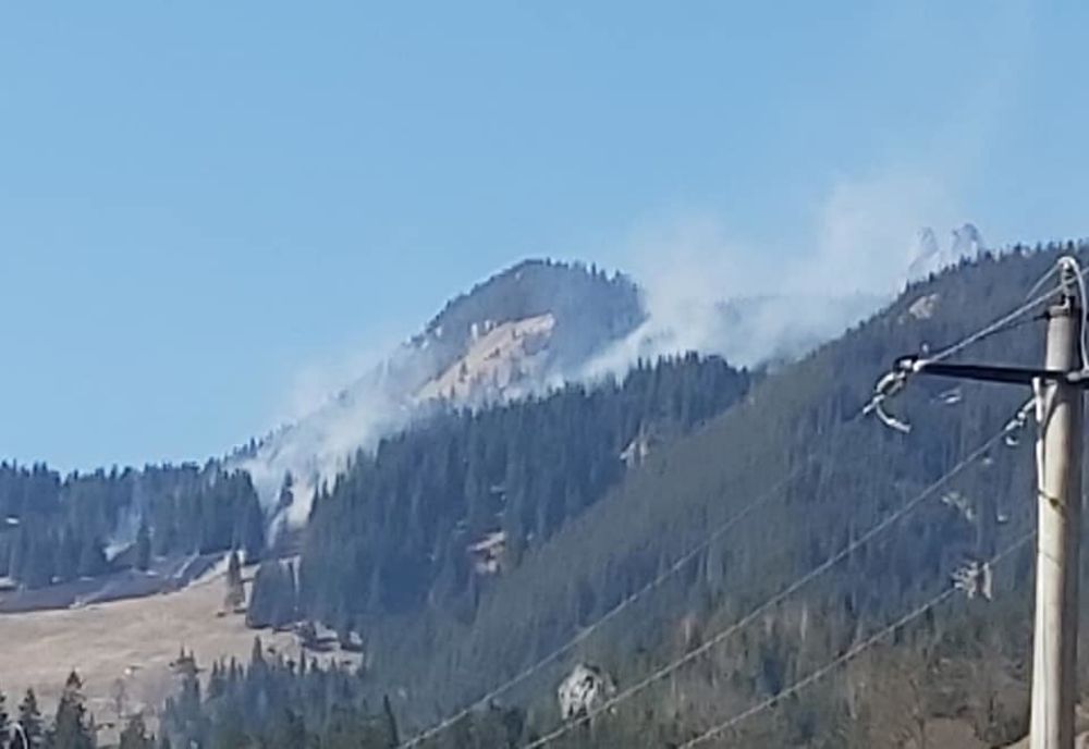 Incendiu de vegetație uscată pe trei hectare, la Crucea FOTO