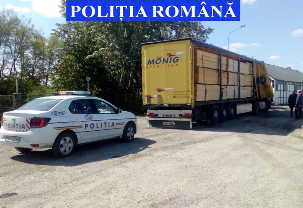 Polițiștii suceveni au confiscat aproape 300 de metri cubi de material lemnos FOTO