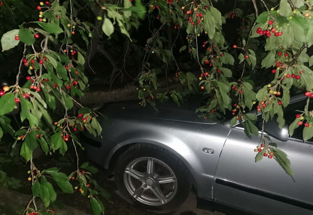 Pompierii suceveni au intervenit pentru înlăturarea efectelor negative ale furtunii în mai multe localități din județ FOTO