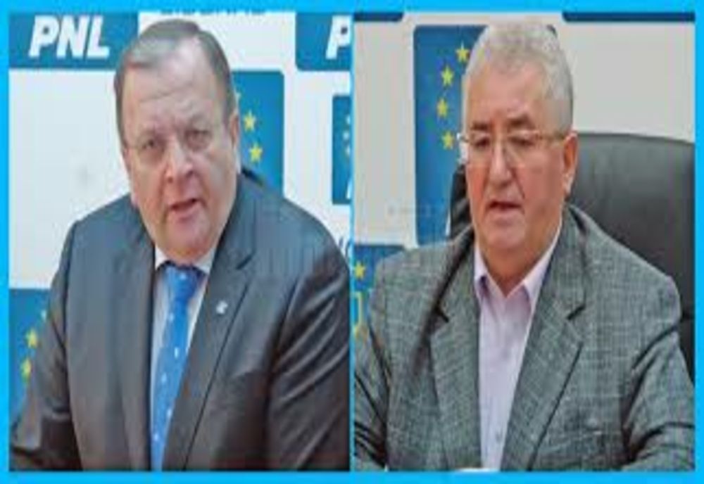 Cine a câştigat alegerile în judeţul Suceava