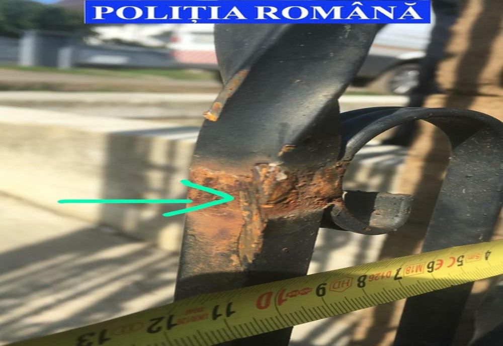 Polițiști, criminaliști și un medic veterinar, parteneri într-o misiune de suflet