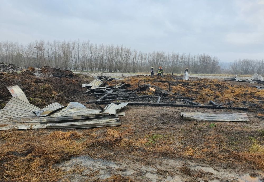 Adăpst de animale incendiat intenționat