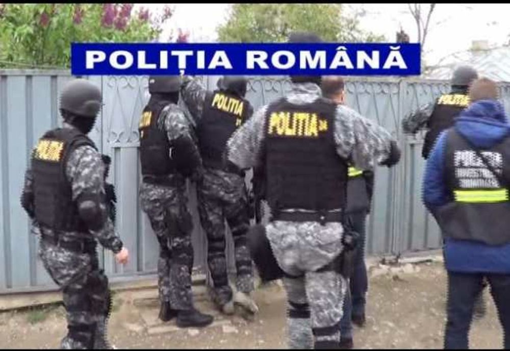 Percheziţii în Mureş, Tulcea, Constanța, Suceava şi Bihor la hoţi de lemne