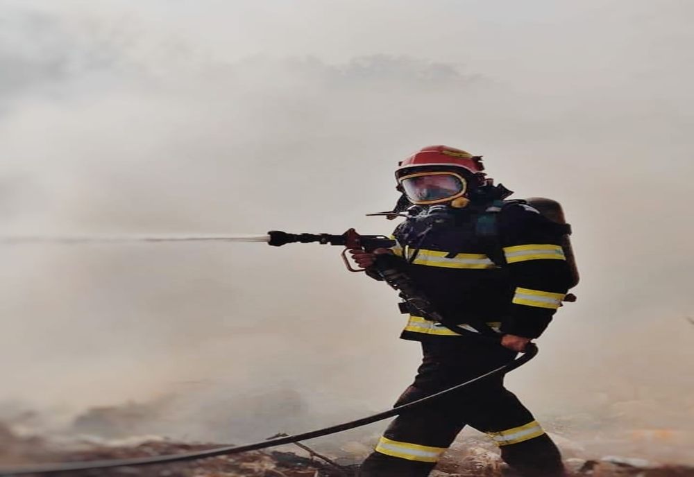 5 hectare de miriște și 1.000 de metri pătrați plantație de salcâmi distruse de incendiu