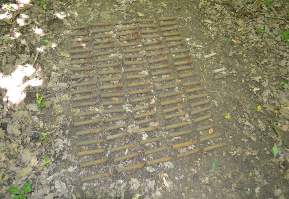 În loc de ciuperci a găsit mai multe elemente de muniție