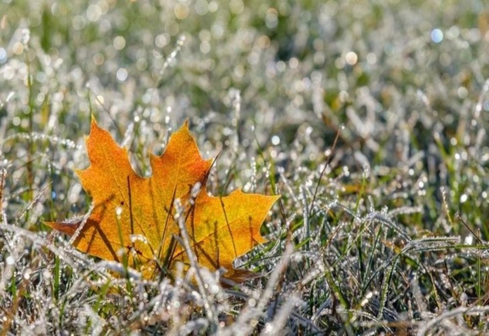 Vremea 17 noiembrie - Burniță în mare parte din țară - Maximele nu trec de 12 grade Celsius