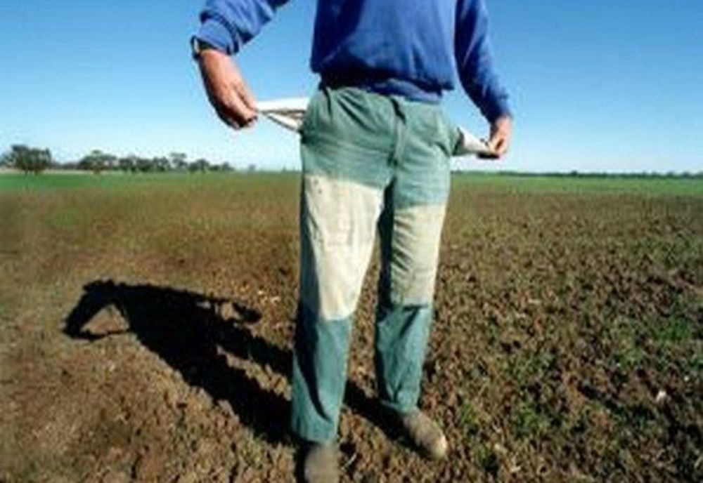 PER: ”Am ajuns să importăm 70% din ceea ce consumăm. Ce plan are Guvernul pentru fermierii și micii producători autohtoni?”