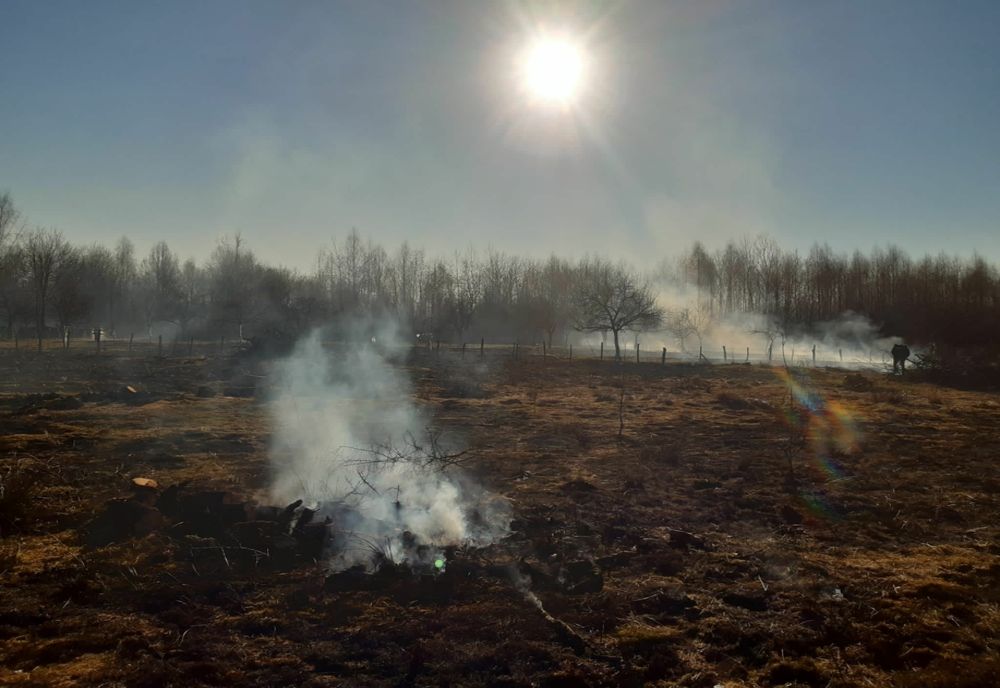 La un pas de tragedie: un bărbat a dat foc vegetației uscate și s-a ales cu arsuri pe față